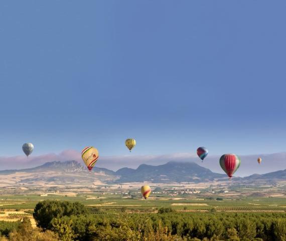 Apartmán Marques De La Rioja Logroño Exteriér fotografie